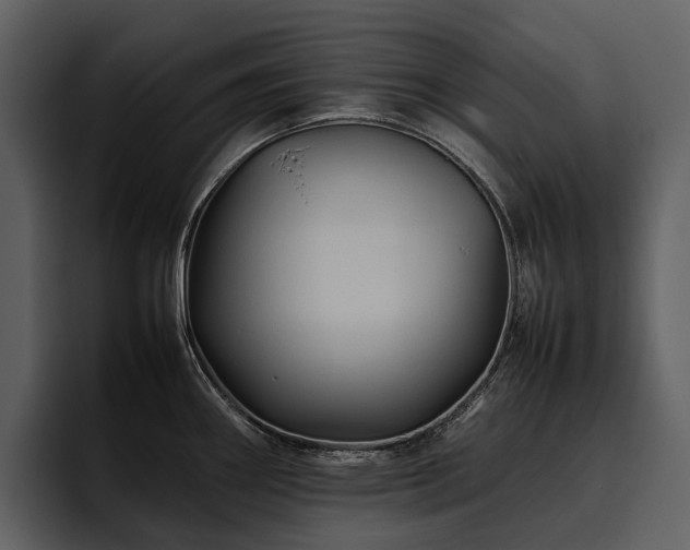 X0000095941290200801111322