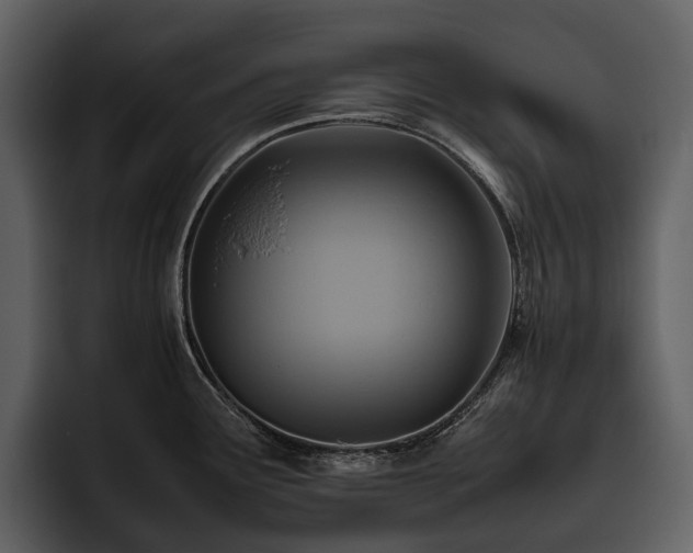 X0000095941291200801111322