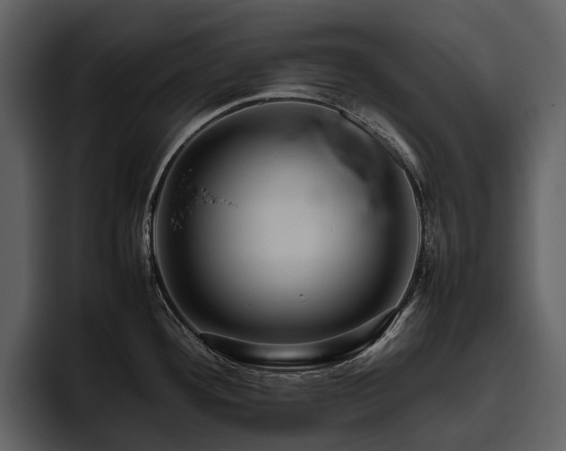 X0000095941292200801111322