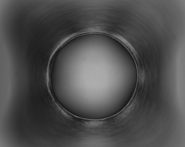 X0000095941294200801111322