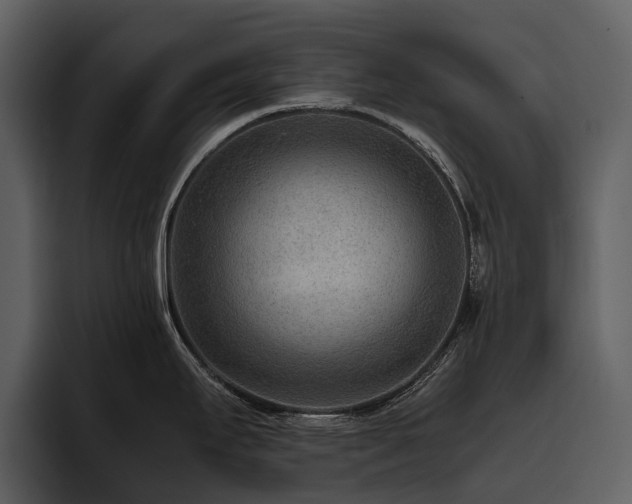 X0000095941295200801111322