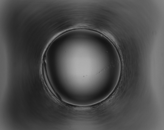 X0000095941296200801111322