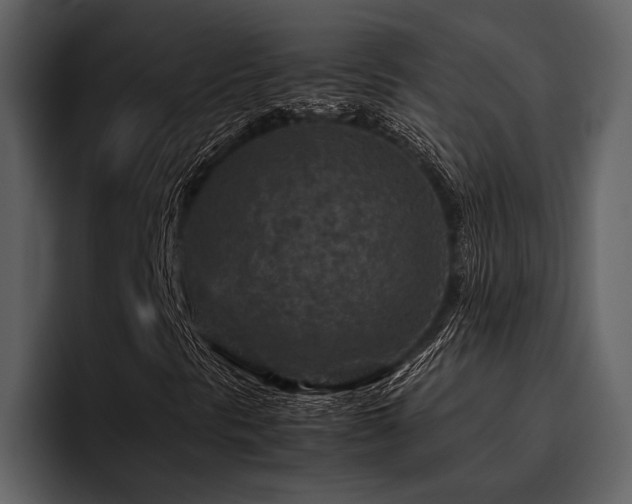 X0000095941297200801111321