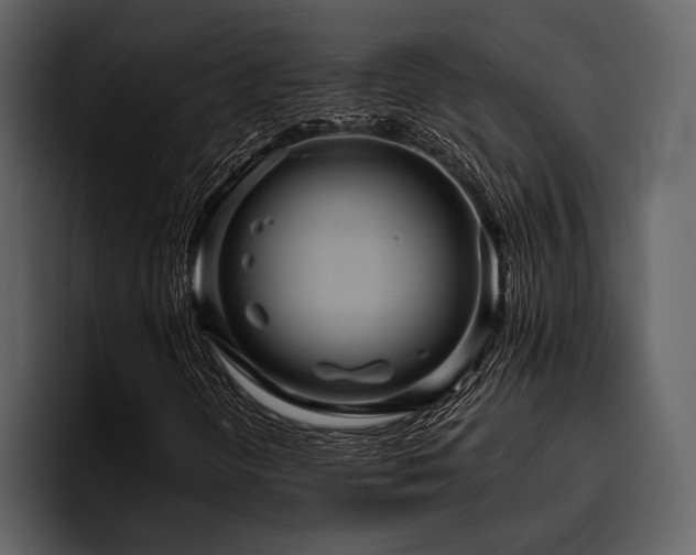 X0000095941298200801111321