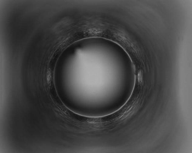 X0000095941299200801111321