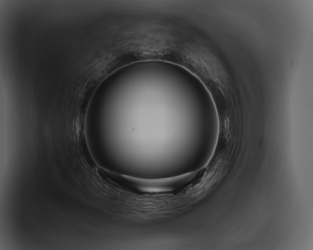 X0000095941300200801111321