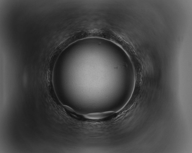 X0000095941301200801111321