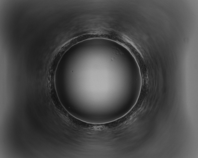 X0000095941304200801111321