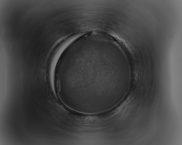 X0000095941306200801111322