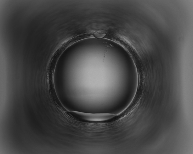 X0000095941307200801111322