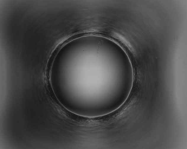 X0000095941308200801111322