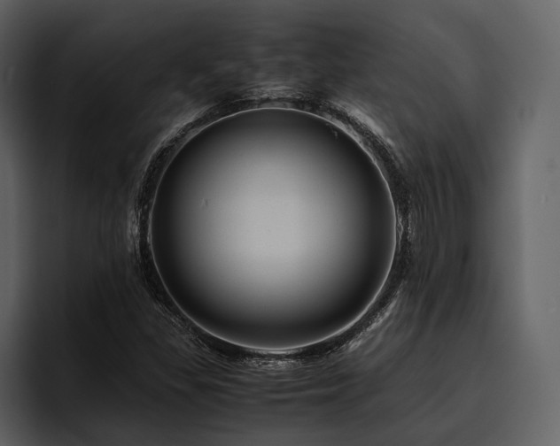 X0000095941309200801111322