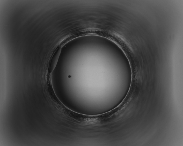 X0000095941313200801111322