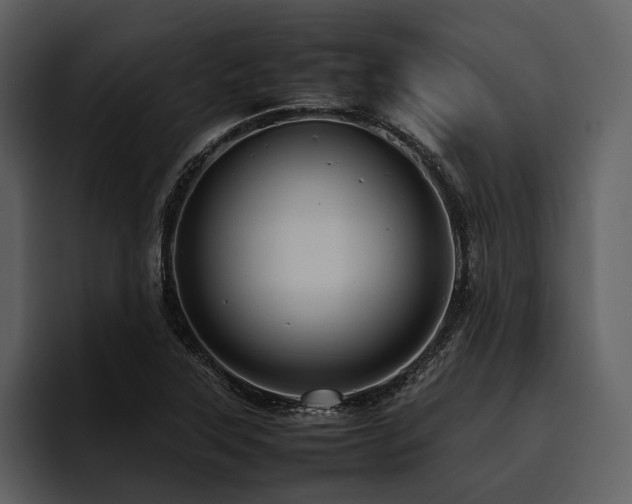 X0000095941315200801111322