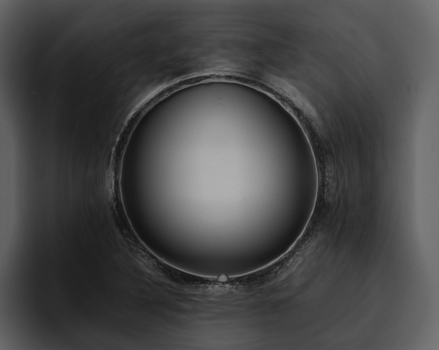 X0000095941316200801111322