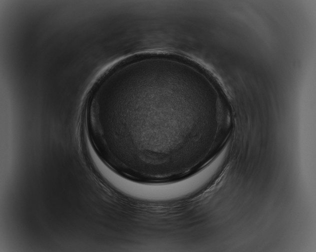 X0000095941319200801111322