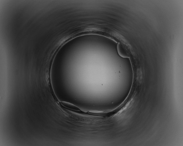 X0000095941321200801111322