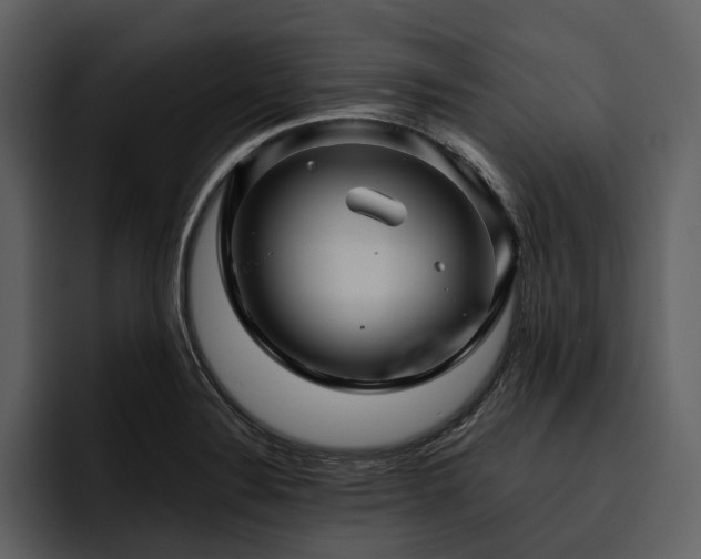 X0000095941324200801111322