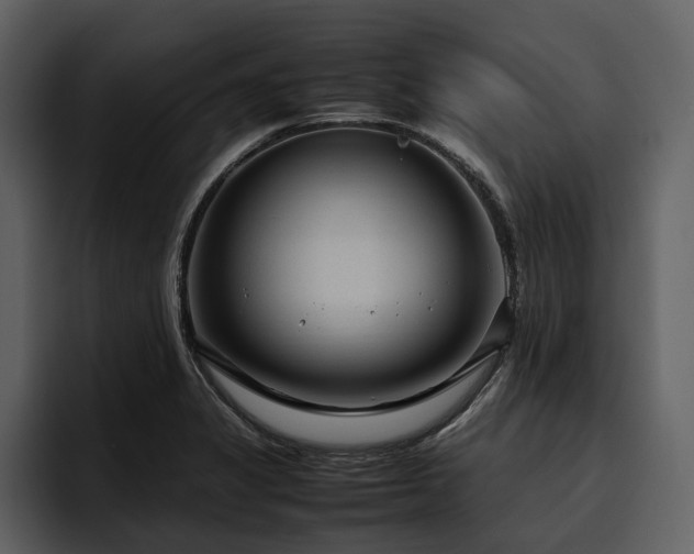 X0000095941325200801111322