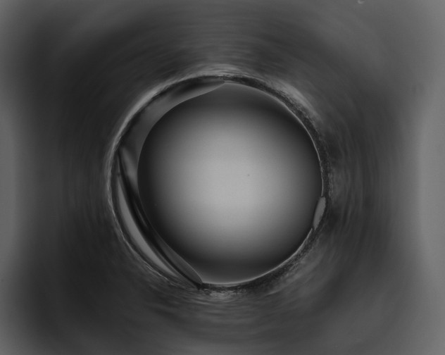 X0000095941326200801111322