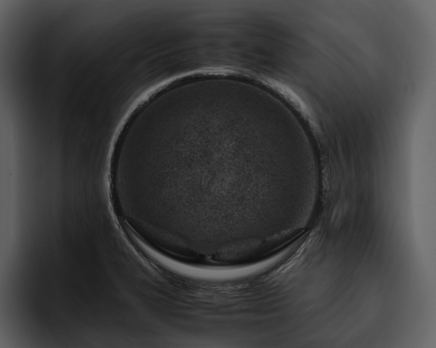X0000095941327200801111322