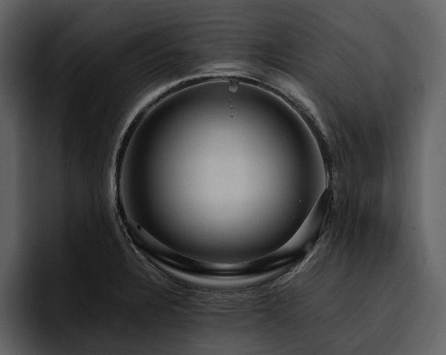 X0000095941328200801111322