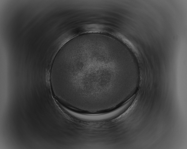 X0000095941329200801111322