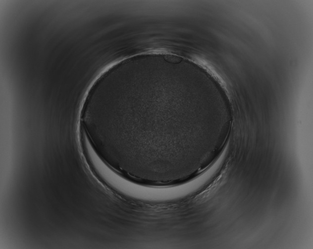 X0000095941331200801111322
