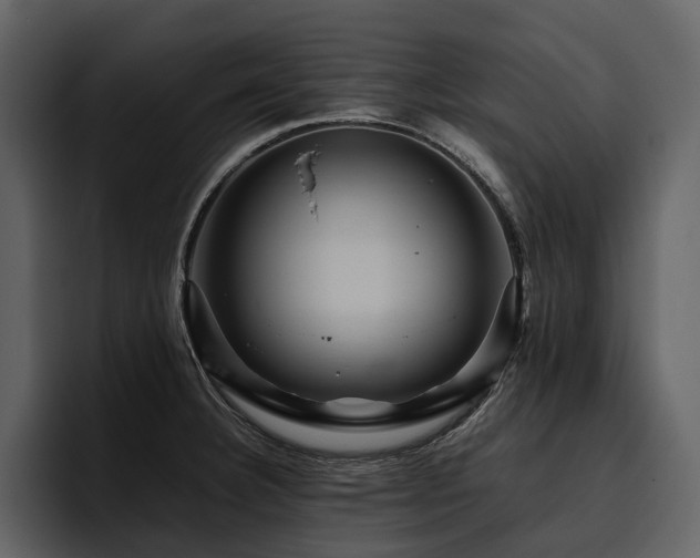 X0000095941332200801111322