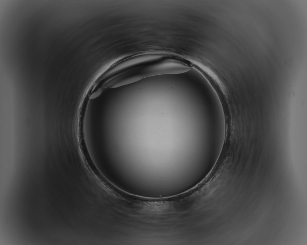 X0000095941333200801111322