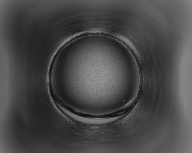 X0000095941335200801111322