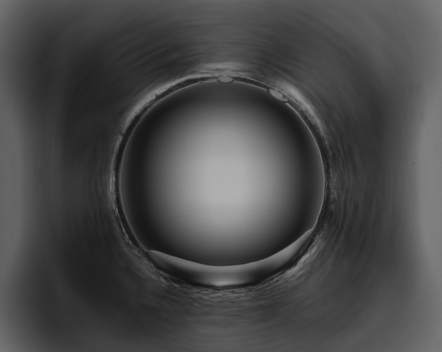 X0000095941336200801111322