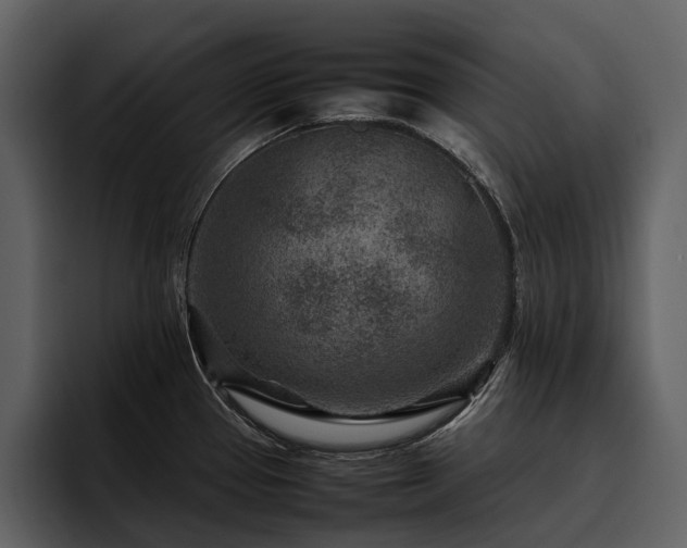 X0000095941337200801111322