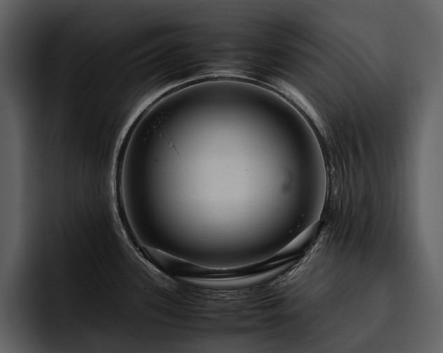 X0000095941339200801111322