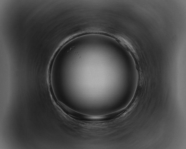 X0000095941342200801111322