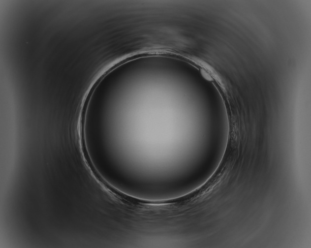 X0000095941343200801111322