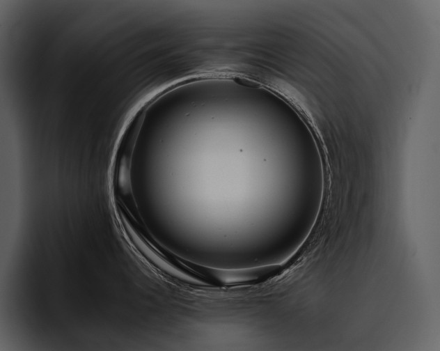 X0000095941344200801111322