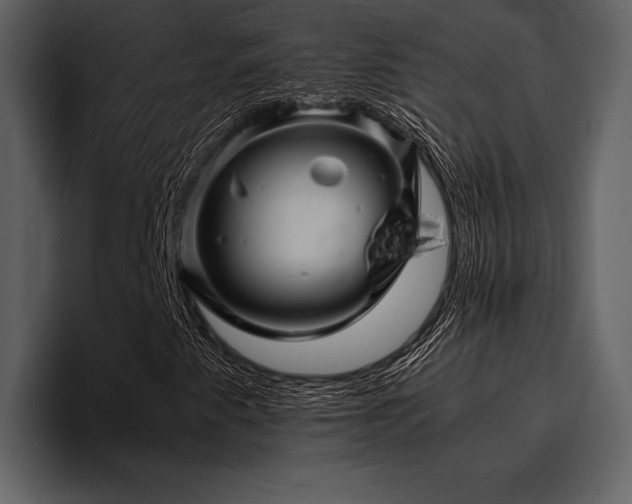 X0000095941345200801111321