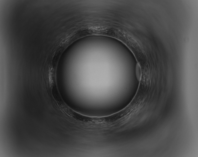 X0000095941346200801111321