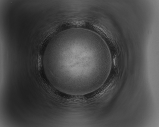 X0000095941347200801111321
