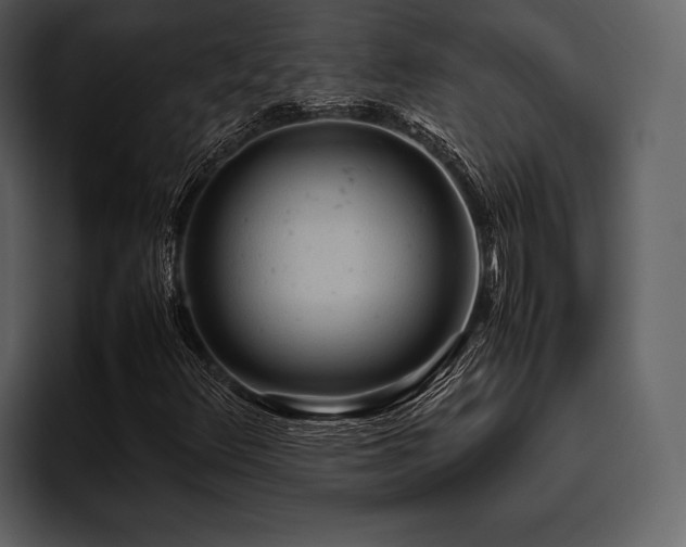 X0000095941348200801111321