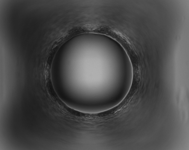 X0000095941349200801111321