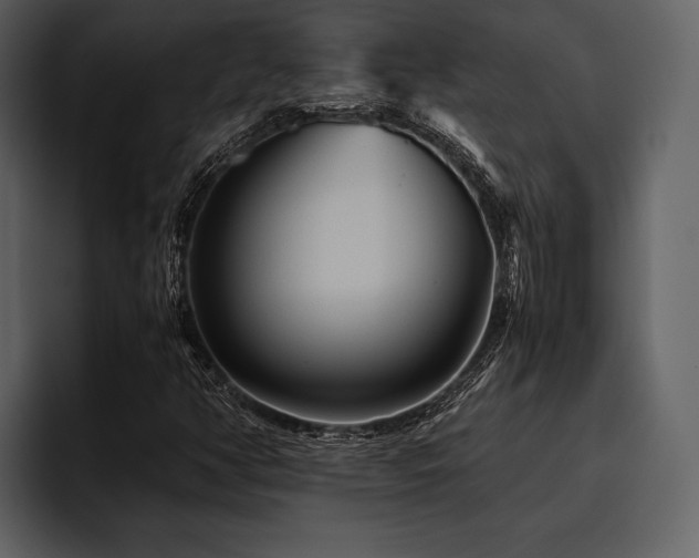 X0000095941350200801111321