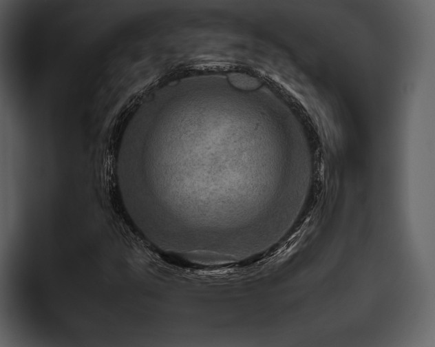 X0000095941351200801111321
