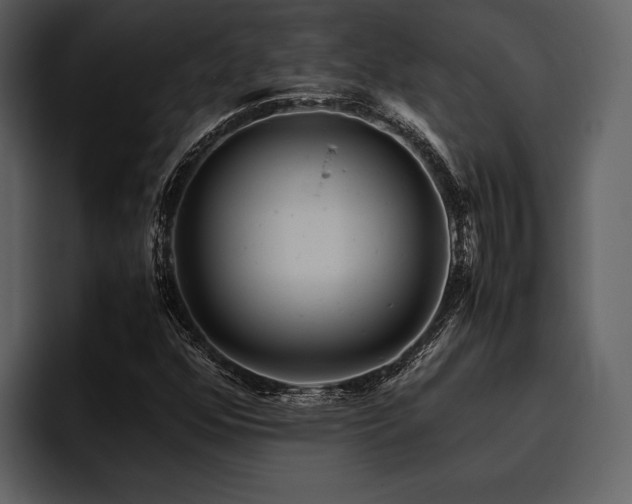X0000095941352200801111321