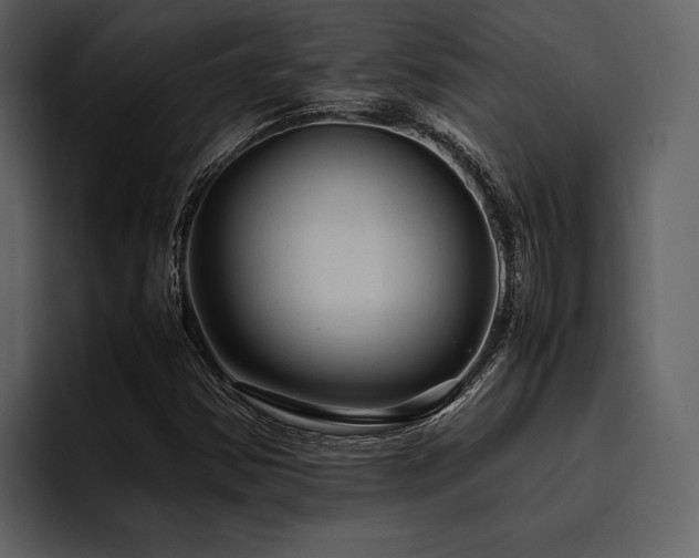 X0000095941354200801111321