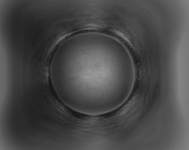 X0000095941355200801111321