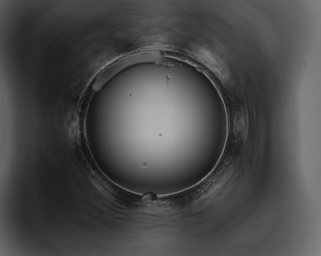 X0000095941356200801111321