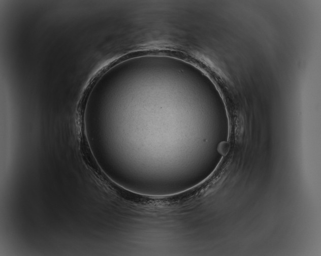X0000095941358200801111321