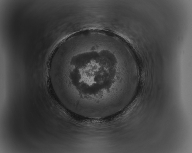 X0000095941359200801111321